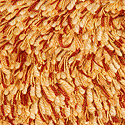 Palmetto001