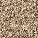Palmetto003