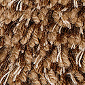 Palmetto004