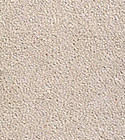 Colony